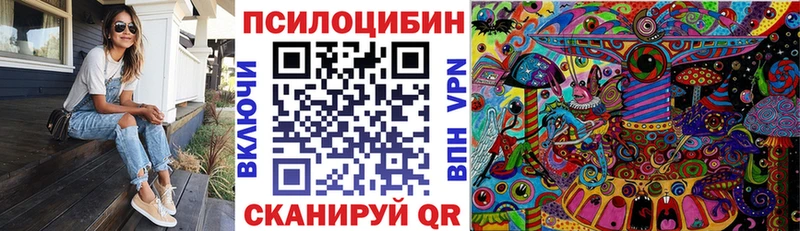 Купить где  Нововоронеж  Галлюциногенные грибы Psilocybine cubensis 